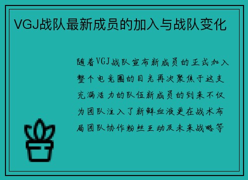 VGJ战队最新成员的加入与战队变化