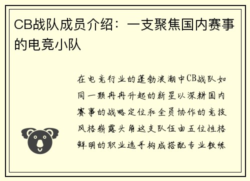 CB战队成员介绍：一支聚焦国内赛事的电竞小队