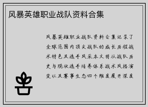 风暴英雄职业战队资料合集
